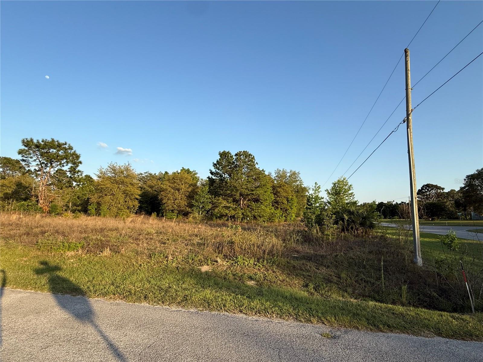Lot 1 Sw 65th Loop Property Photo 1