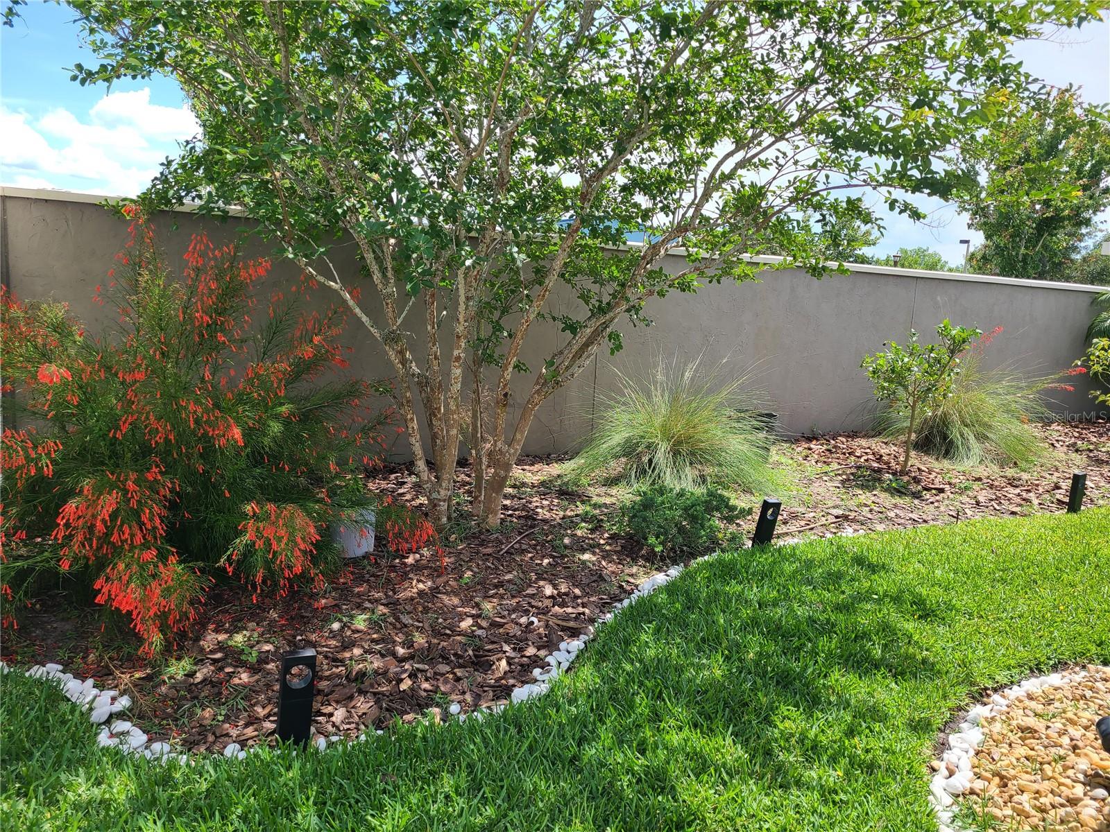 2522 Nouveau Way Property Photo 15