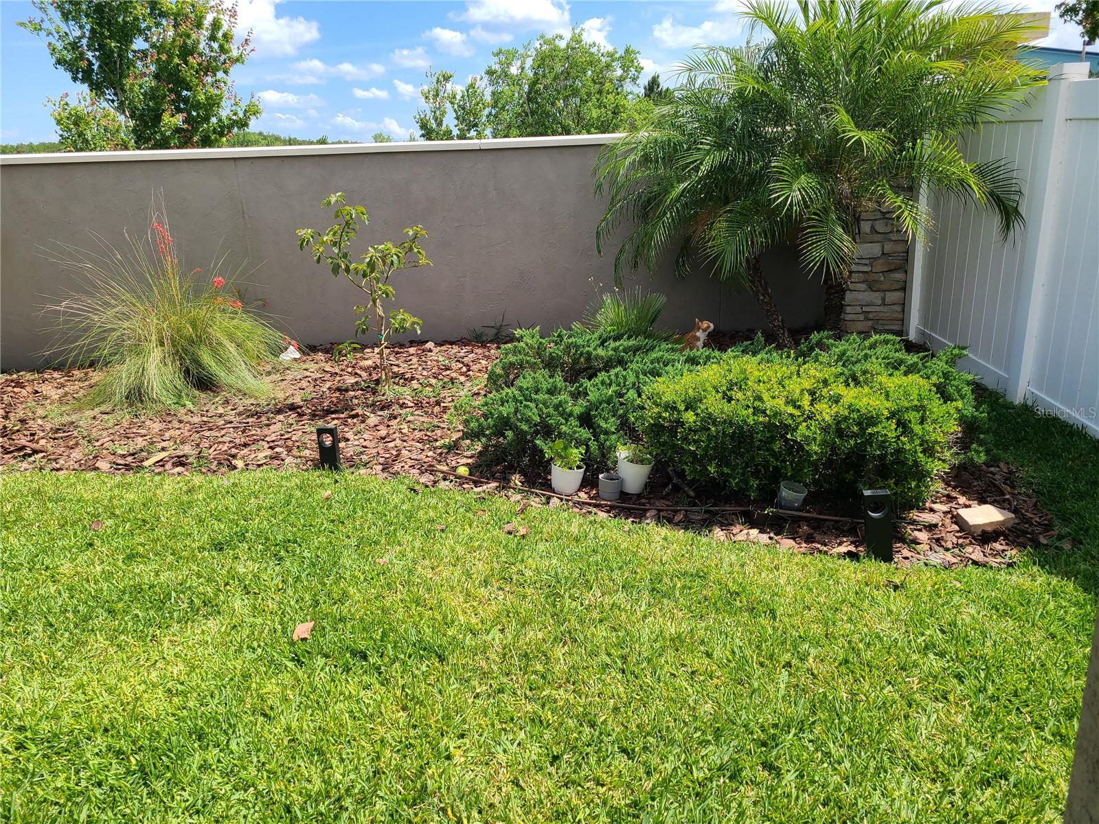 2522 Nouveau Way Property Photo 17