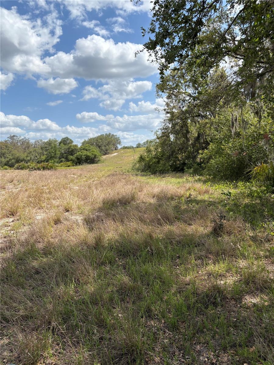 645 Dicks Rd Property Photo
