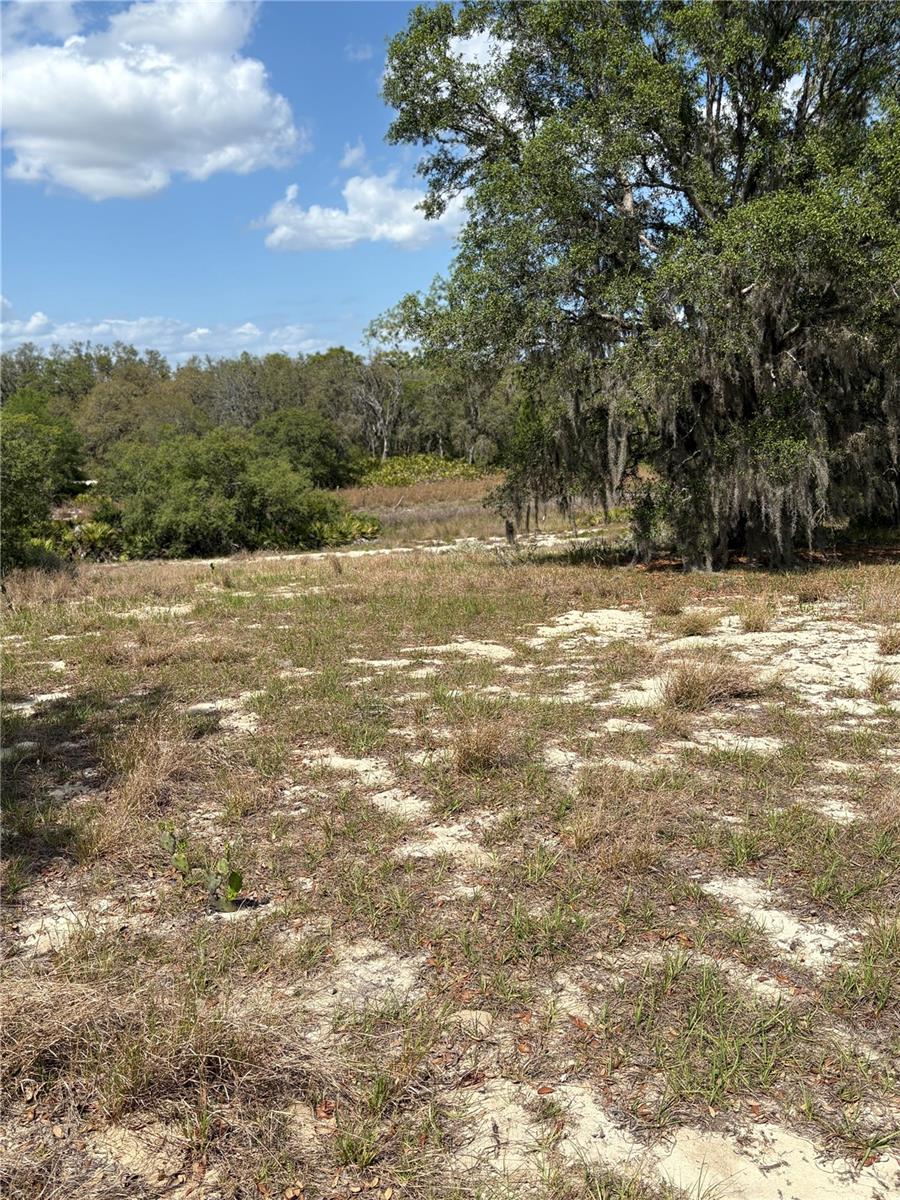 0 Dicks Rd Property Photo 1