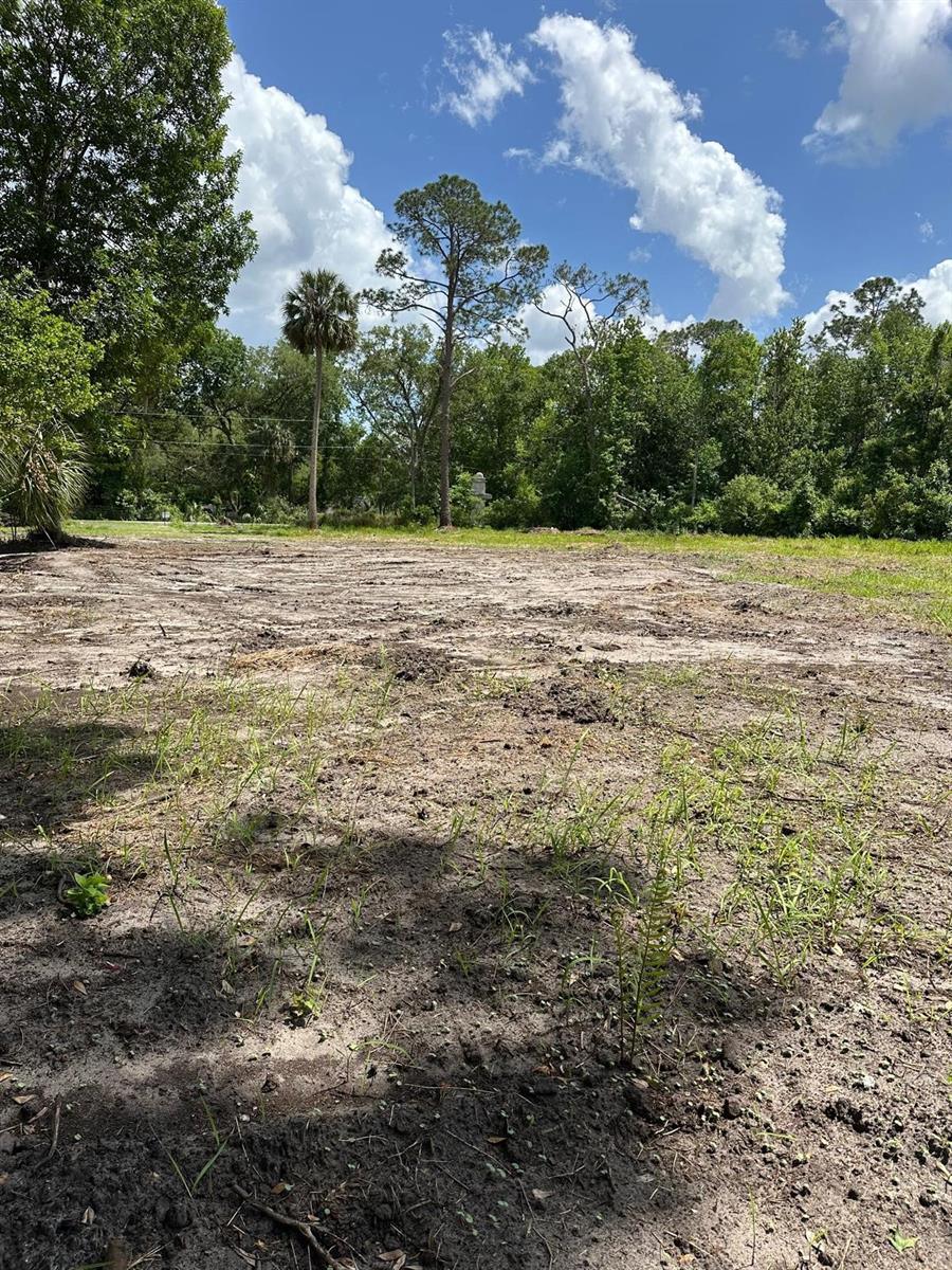 6655 Old Tampa Hwy Property Photo