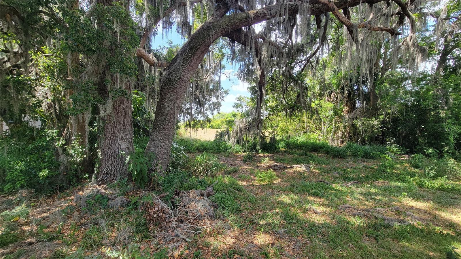 Neptune Rd Property Photo 8