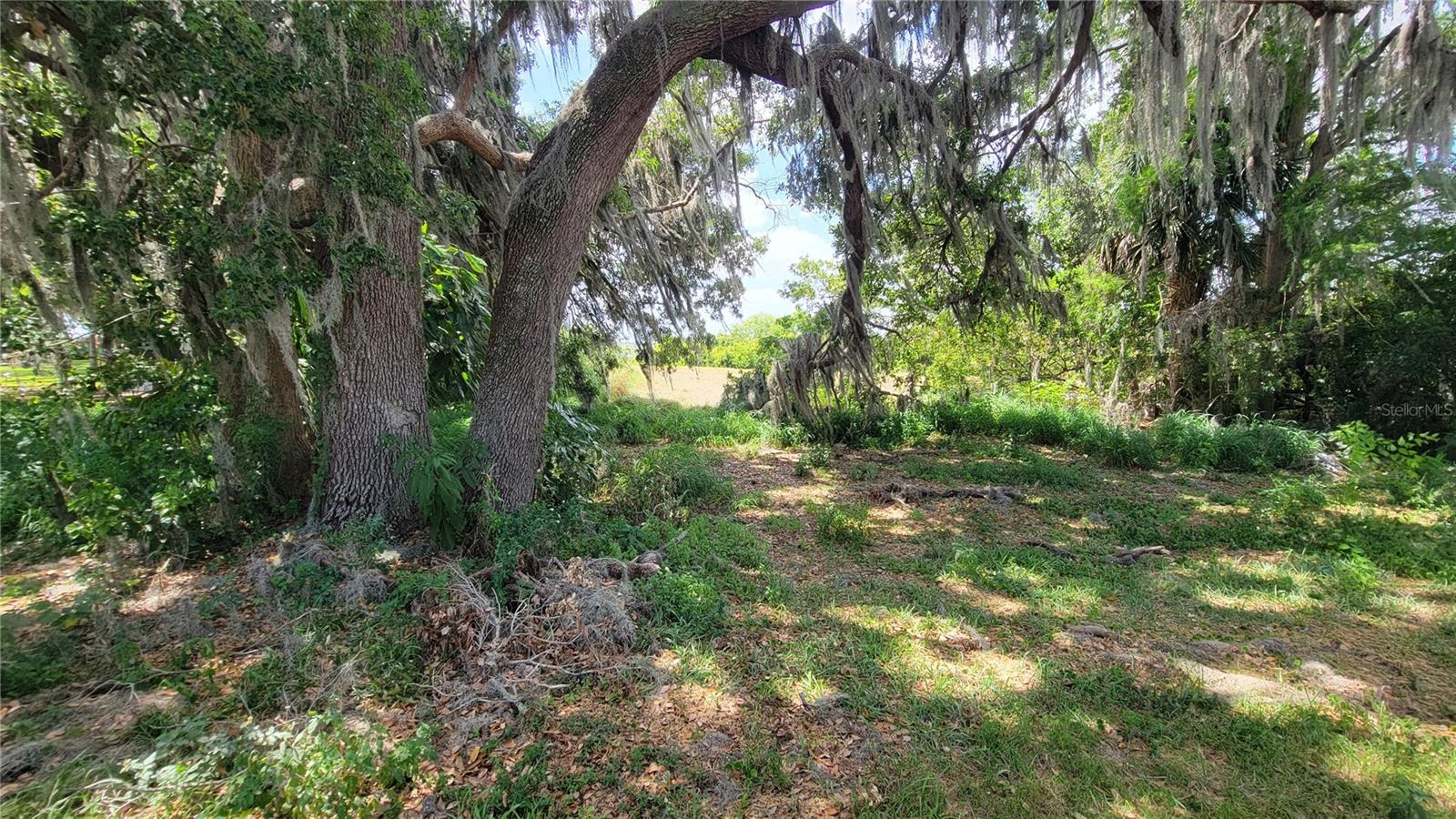 Neptune Rd Property Photo 16