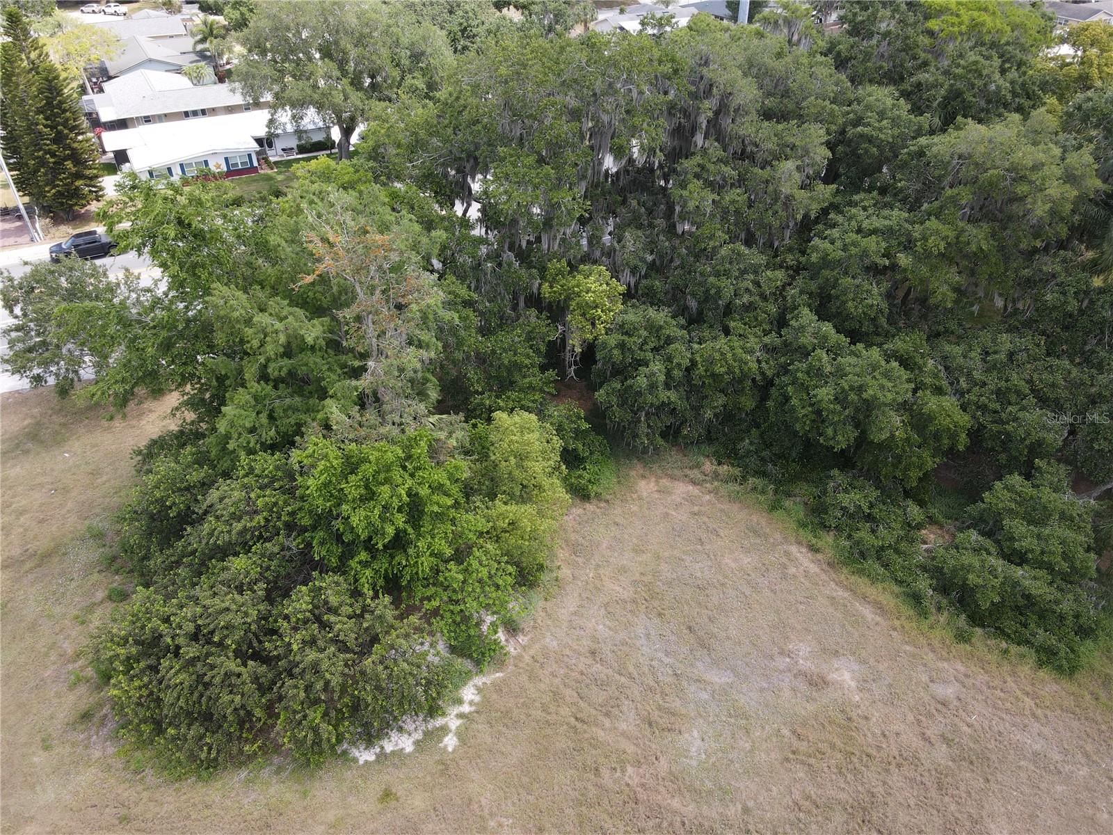 Neptune Rd Property Photo 18