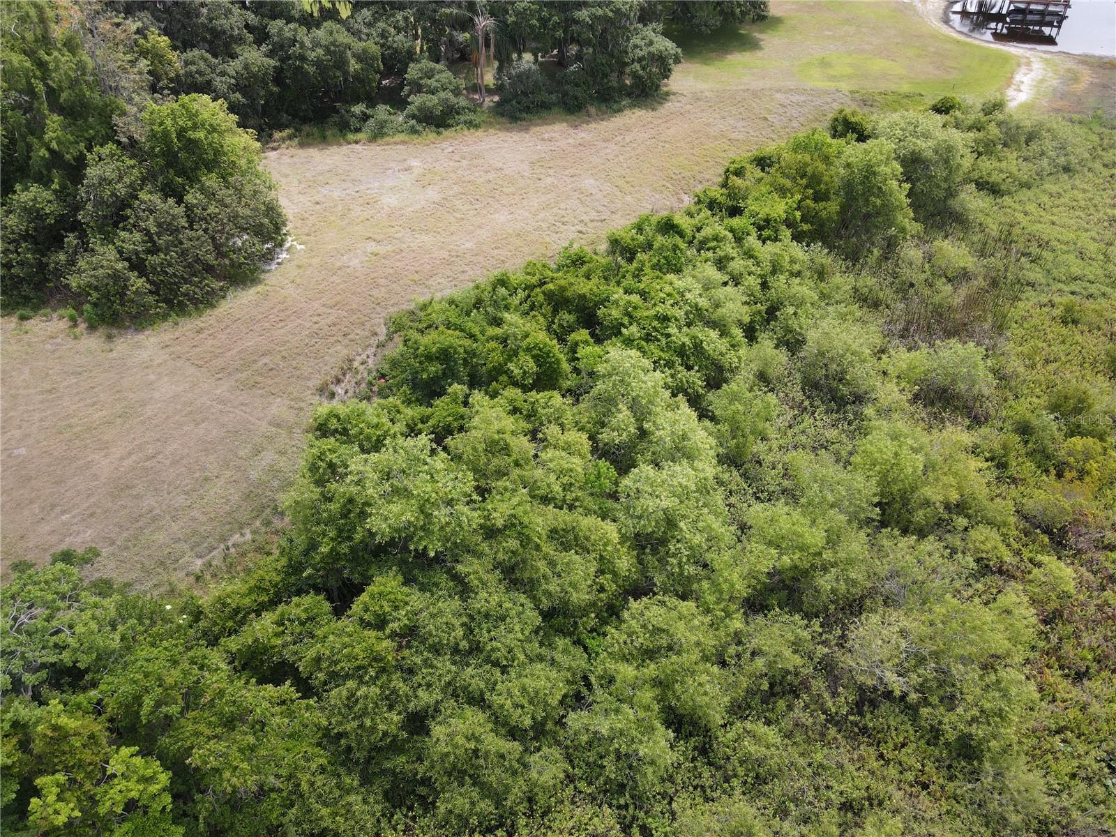 Neptune Rd Property Photo 19