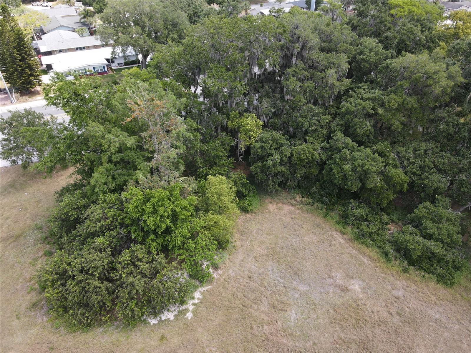 Neptune Rd Property Photo 21