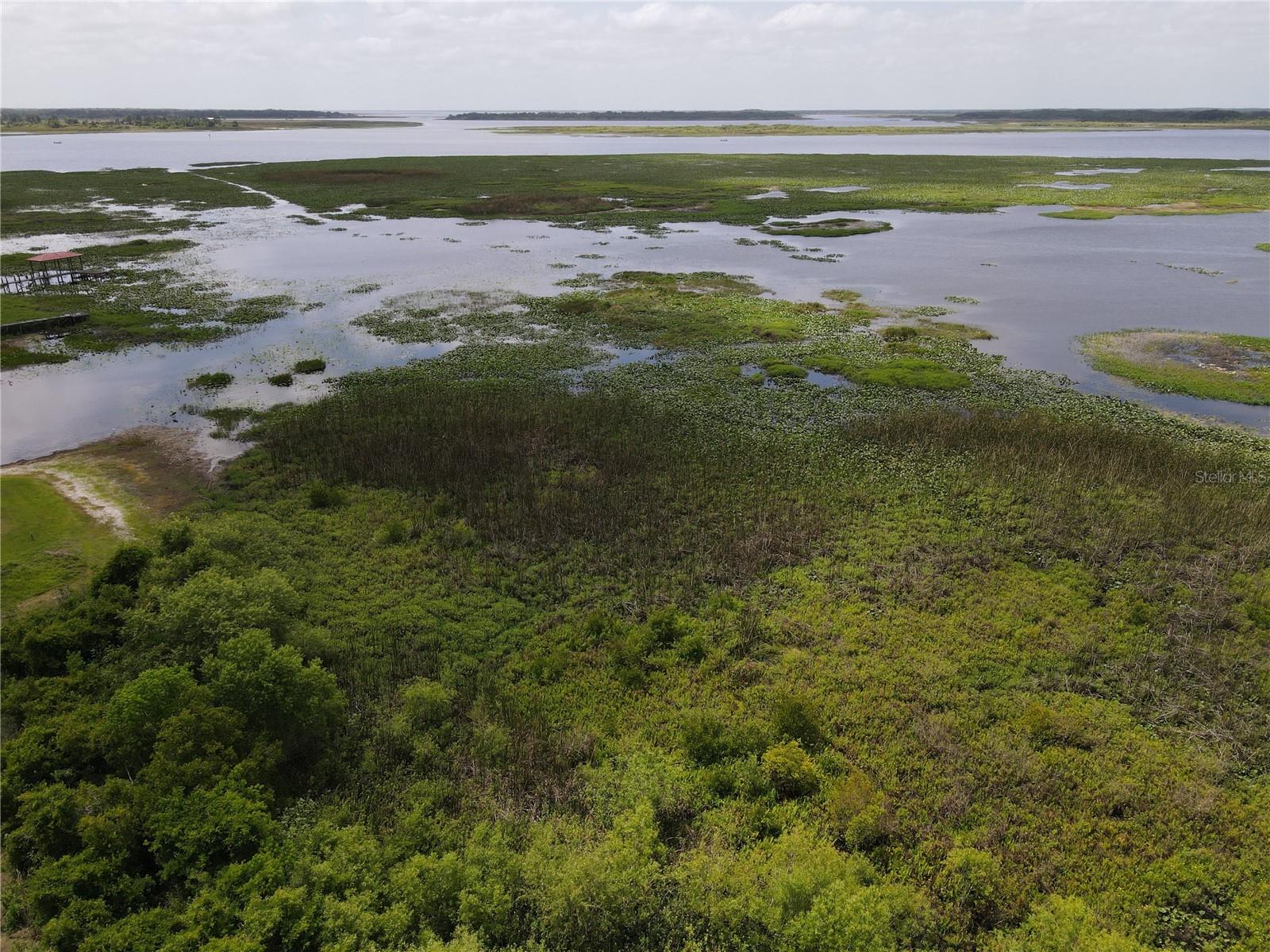 Neptune Rd Property Photo 29