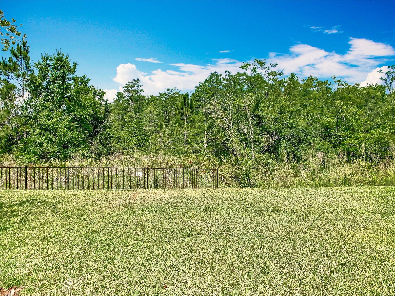 1029 Umbria Dr Property Photo 35