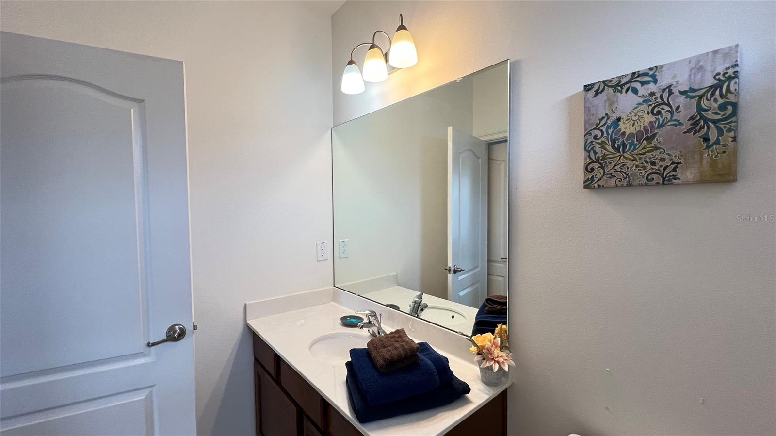 6041 Broad Oak Dr Property Photo 85