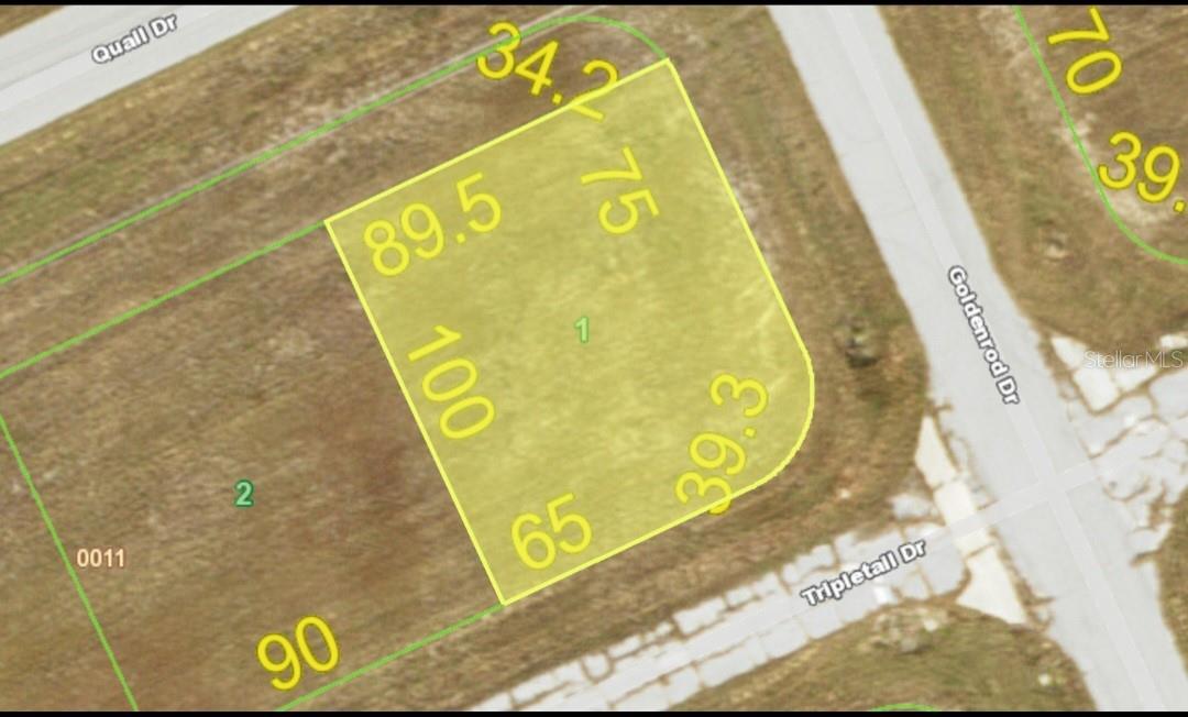 12203 TRIPLETAIL DR Property Photo 1