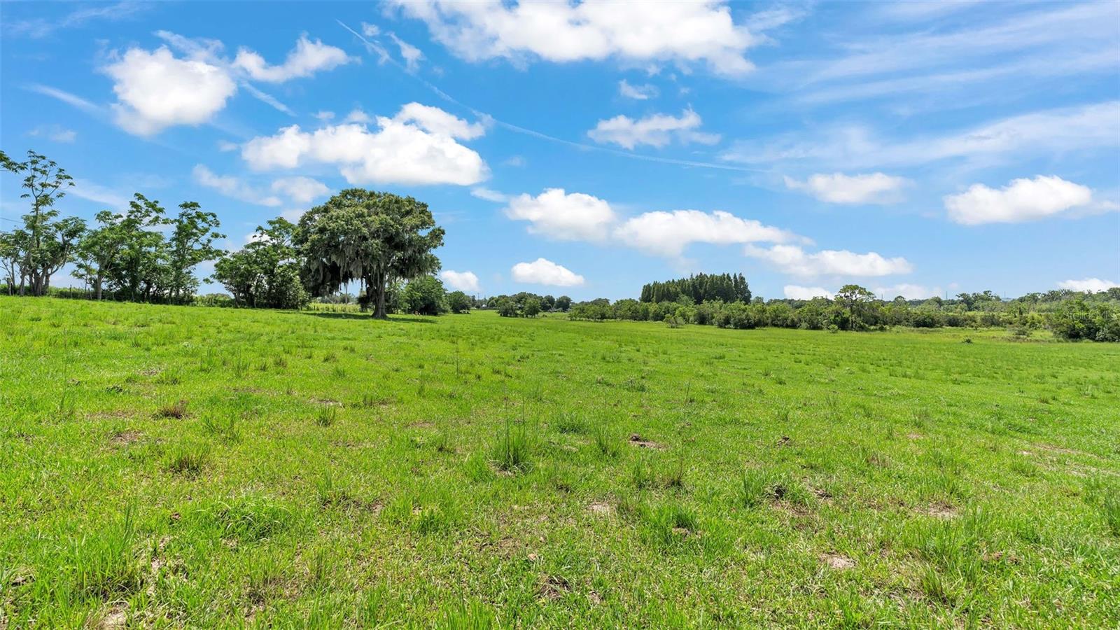 8450 Alturas Babson Park Cutoff Rd Property Photo 5