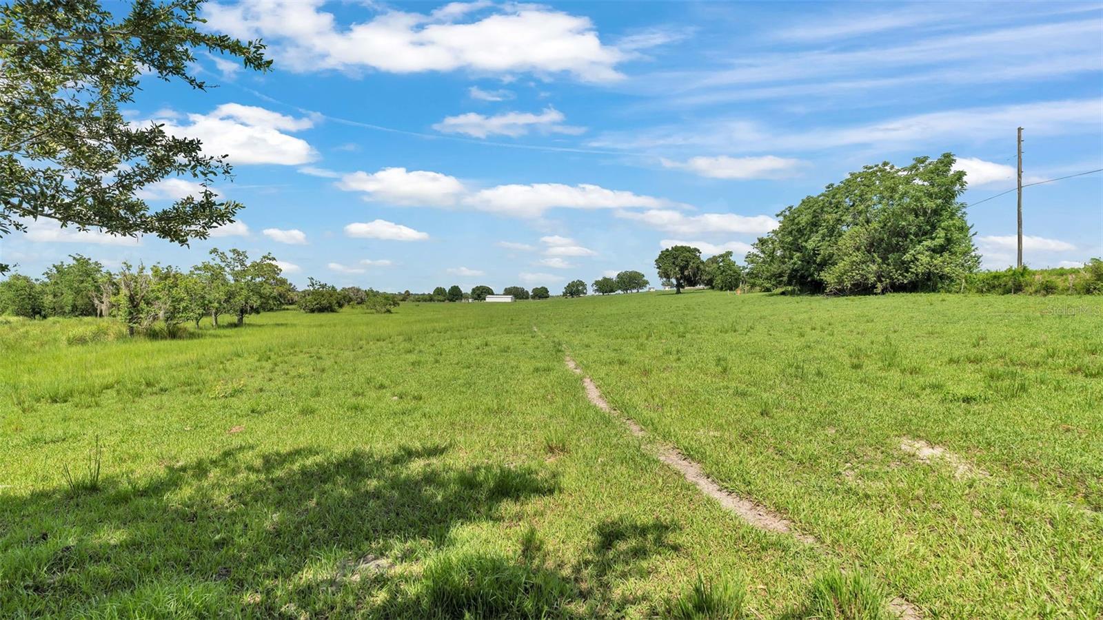 8450 Alturas Babson Park Cutoff Rd Property Photo 6