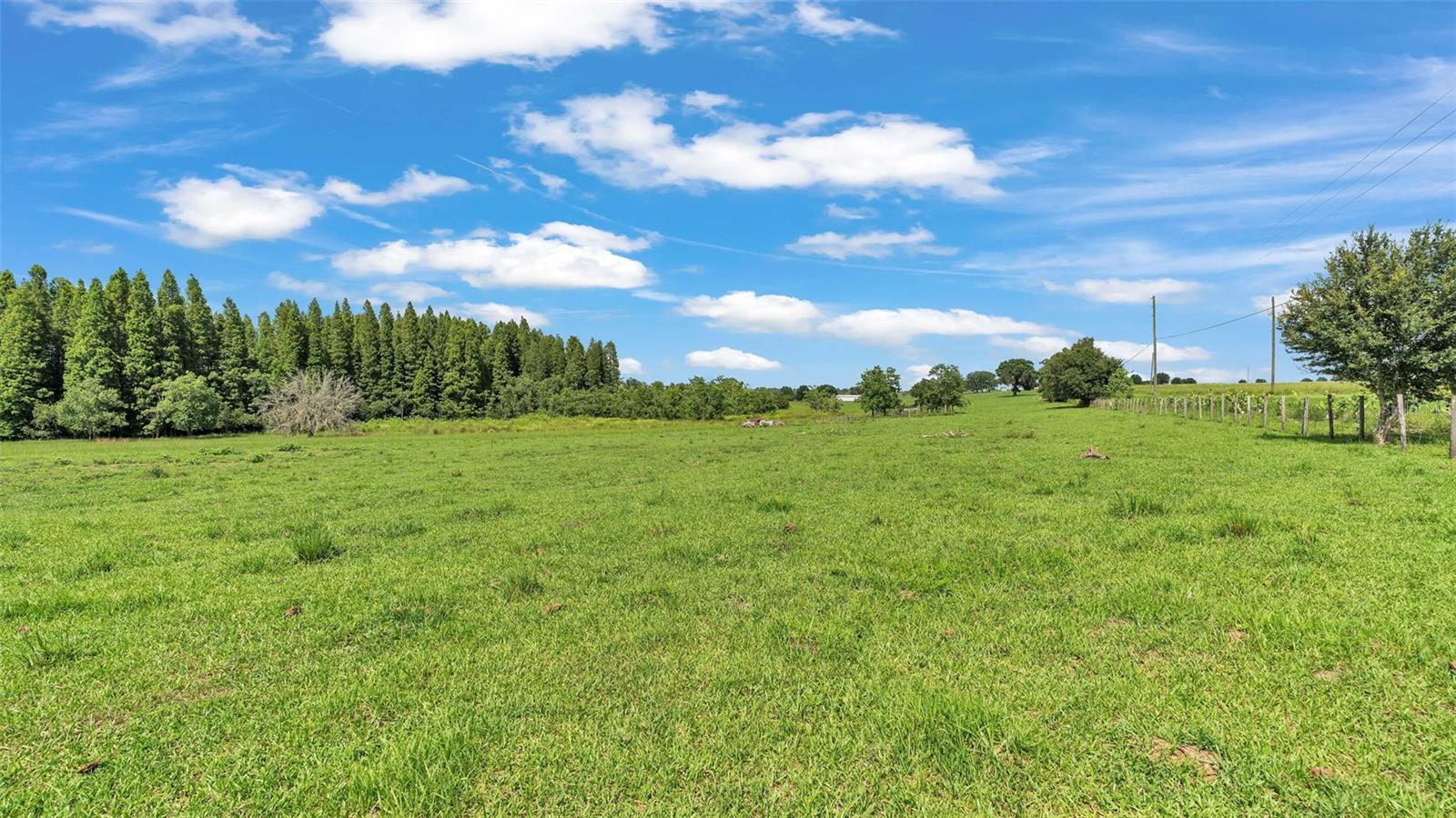 8450 Alturas Babson Park Cutoff Rd Property Photo 7