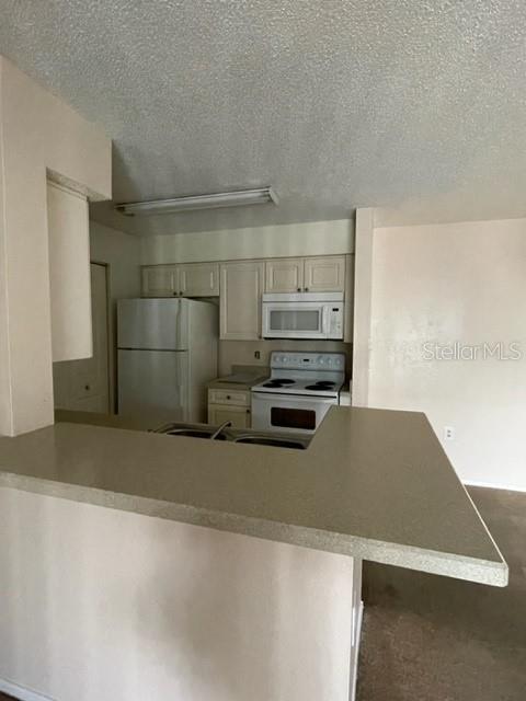 1221 Bermuda Lakes Ln #202 Property Photo 4