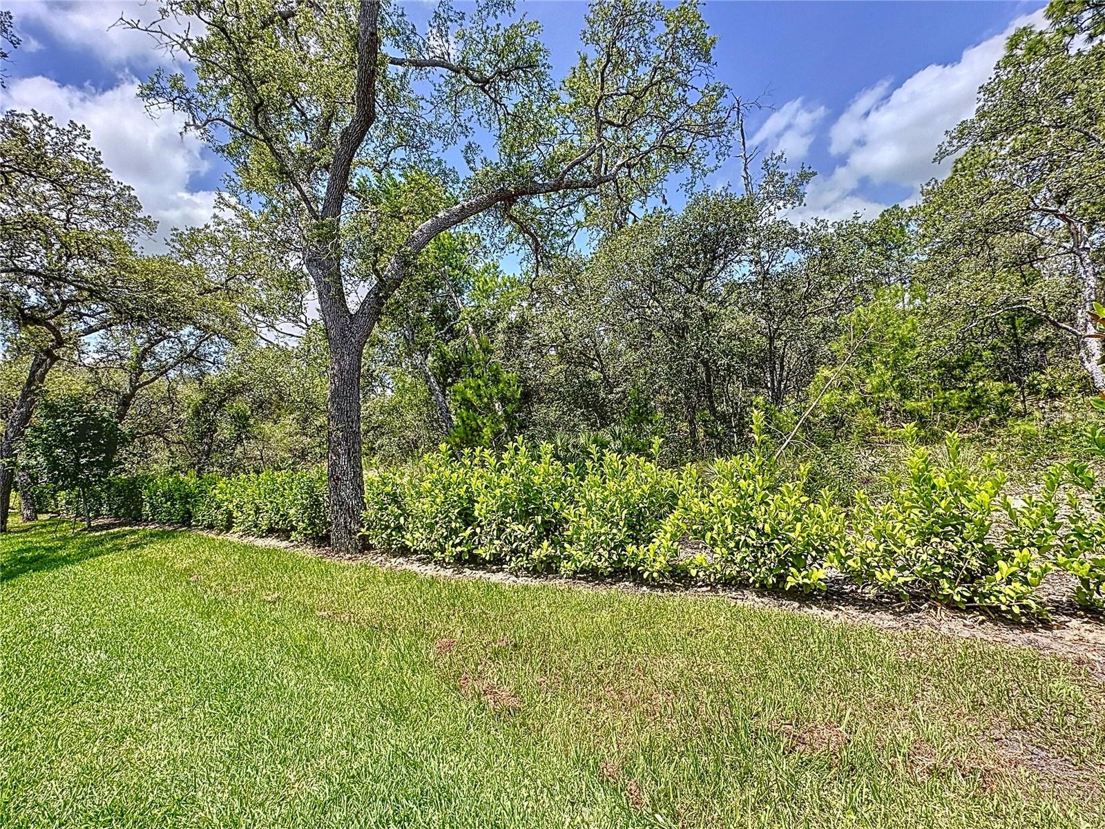 1425 Serendipity Ln Property Photo 74