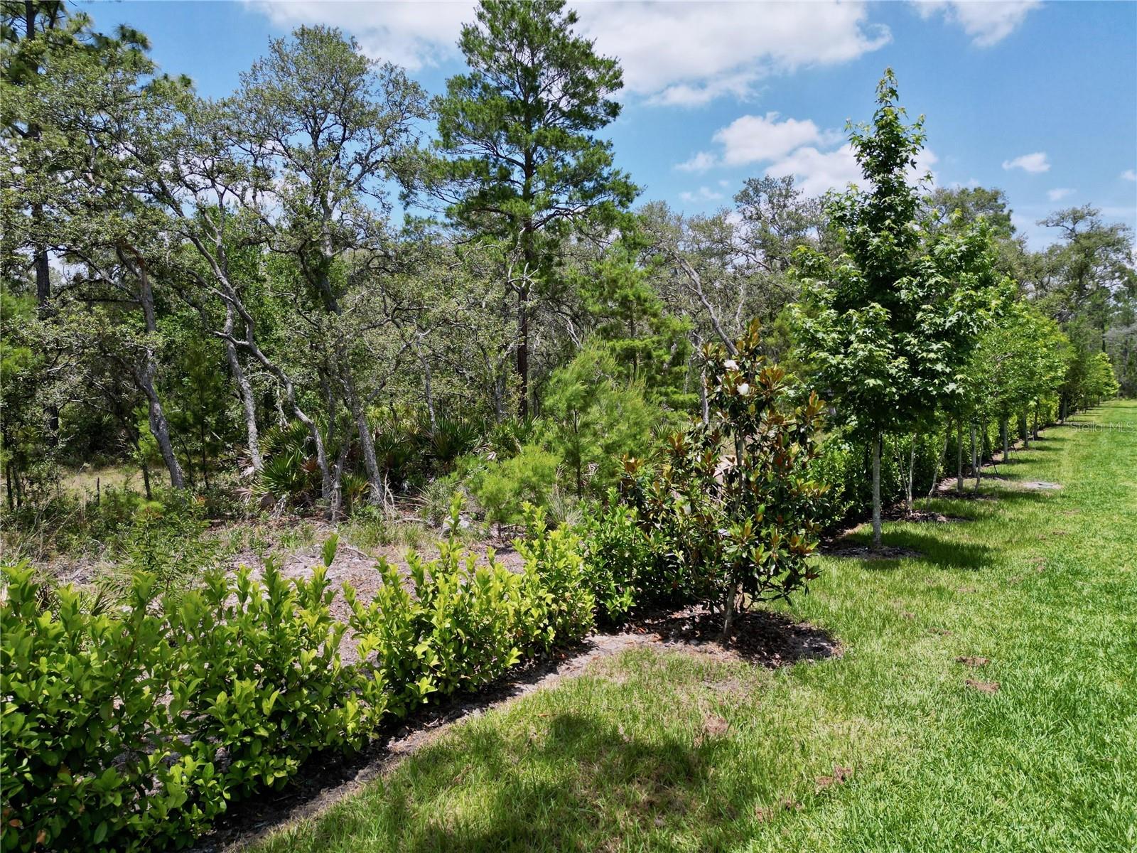 1425 Serendipity Ln Property Photo 76