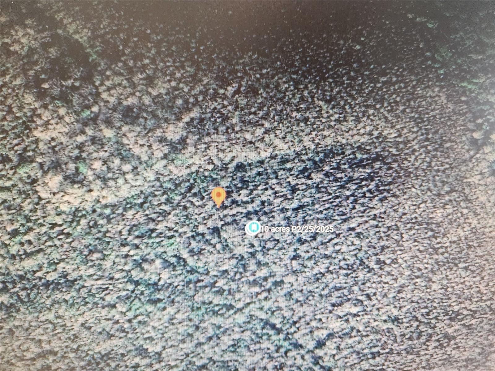 HOLOPAW GROVES RD Property Photo 1