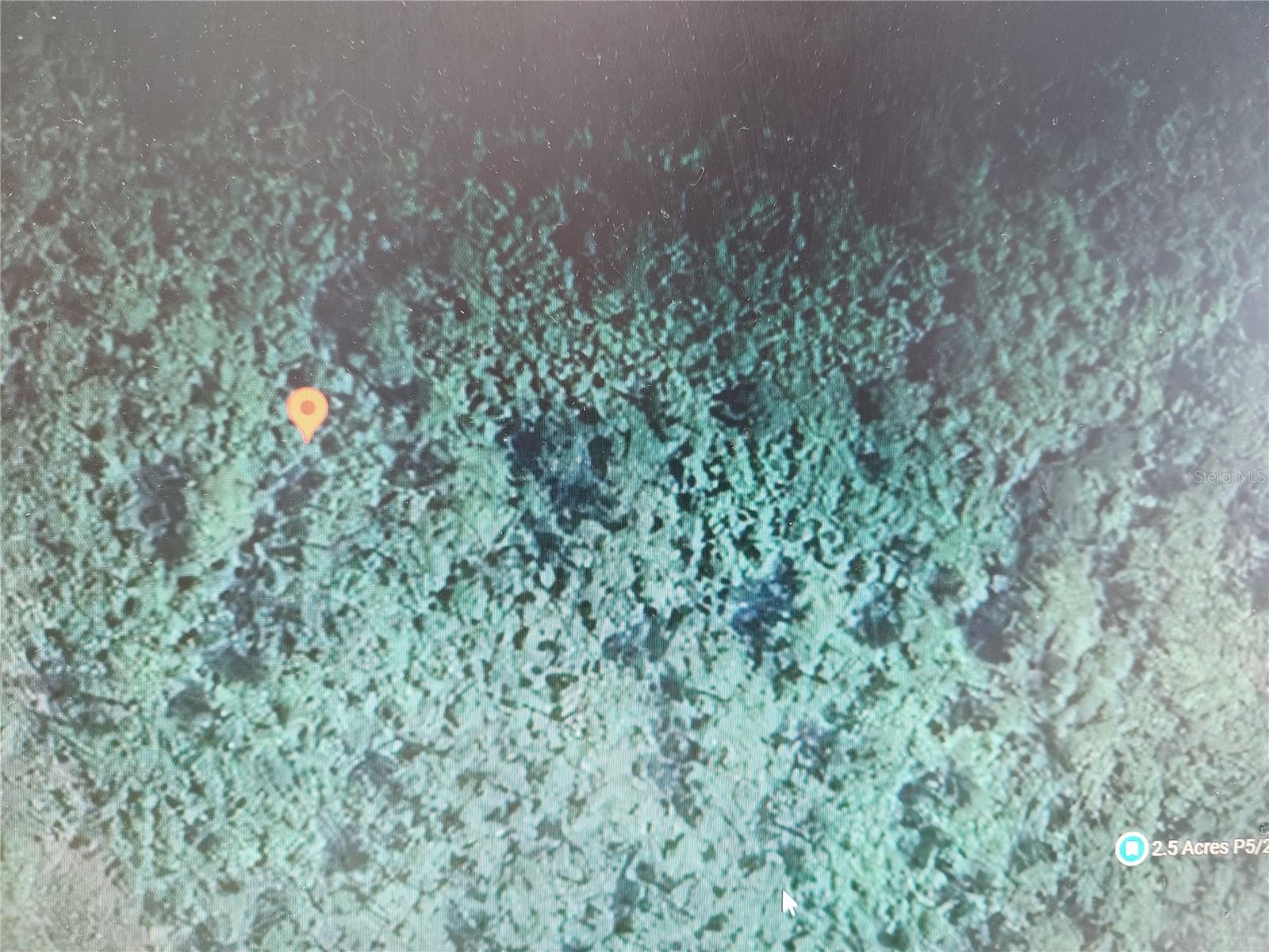HOLOPAW GROVES RD Property Photo 1