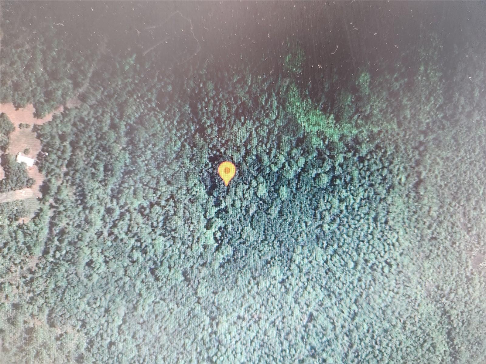 HOLOPAW GROVES RD Property Photo 1