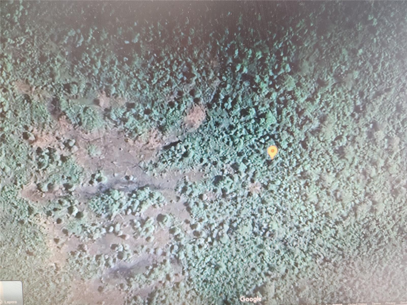 HOLOPAW GROVES RD Property Photo 1