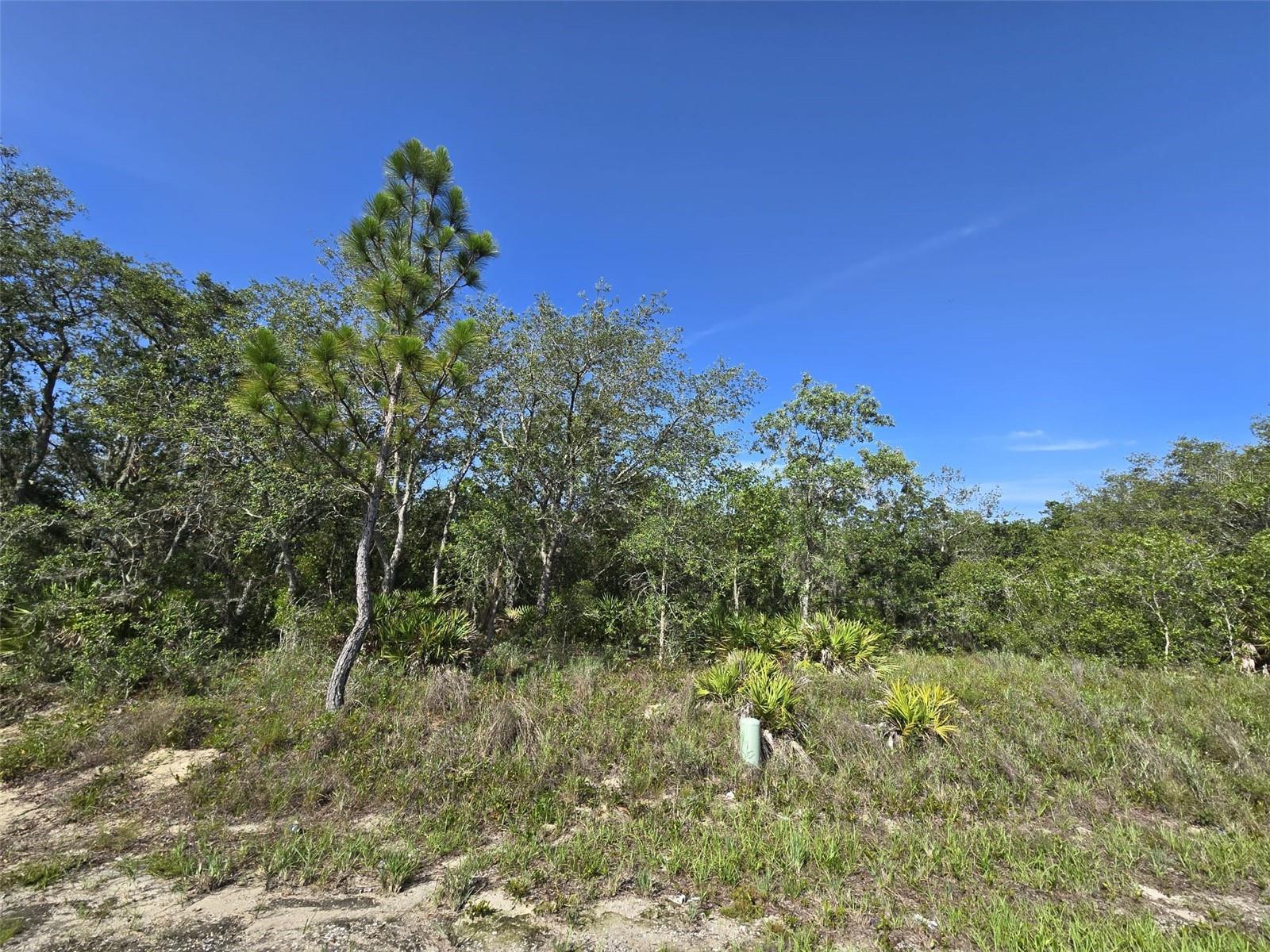 112 TENCH DR Property Photo 1