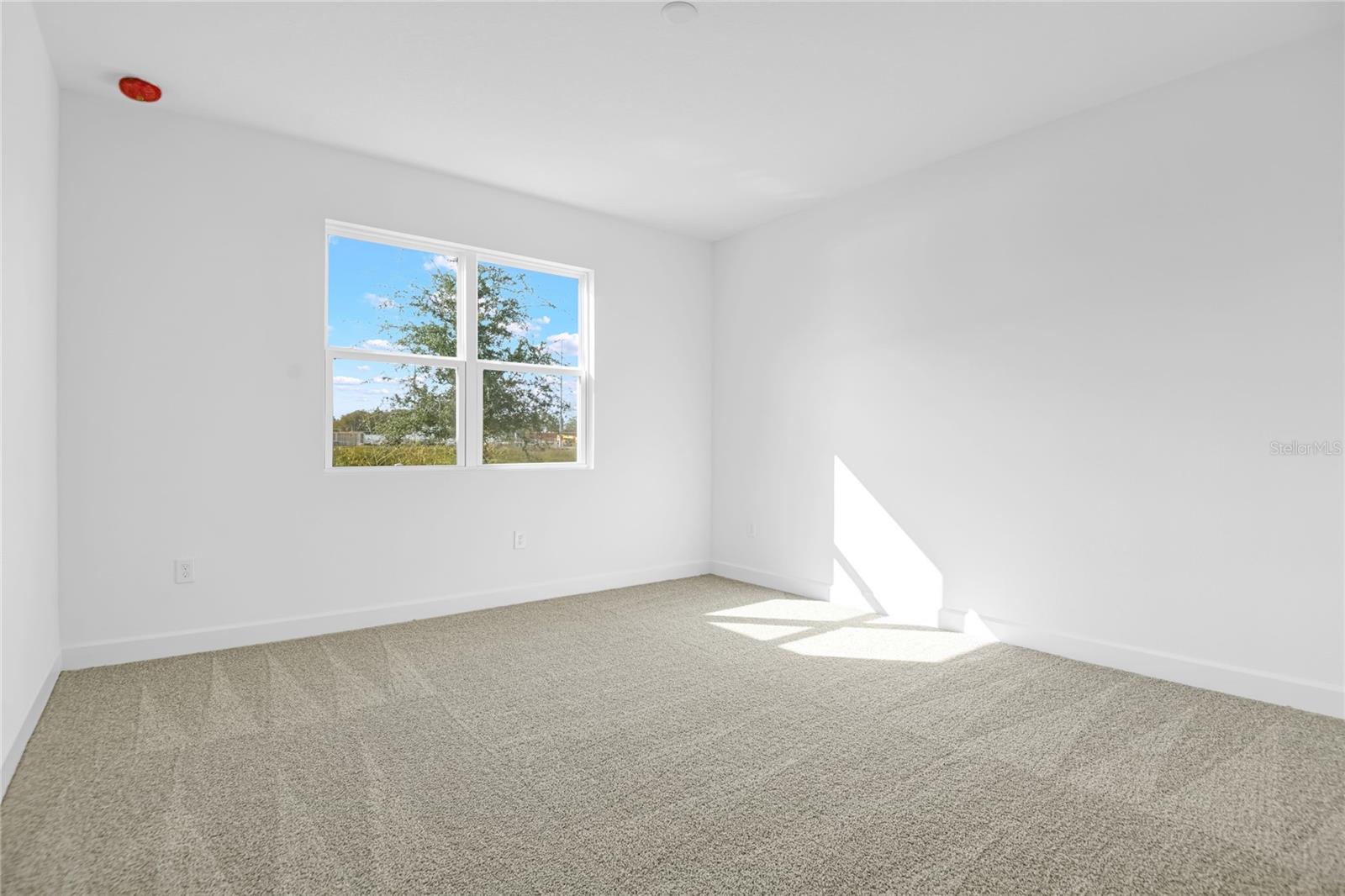 1666 Crooked Creek St Property Photo 12