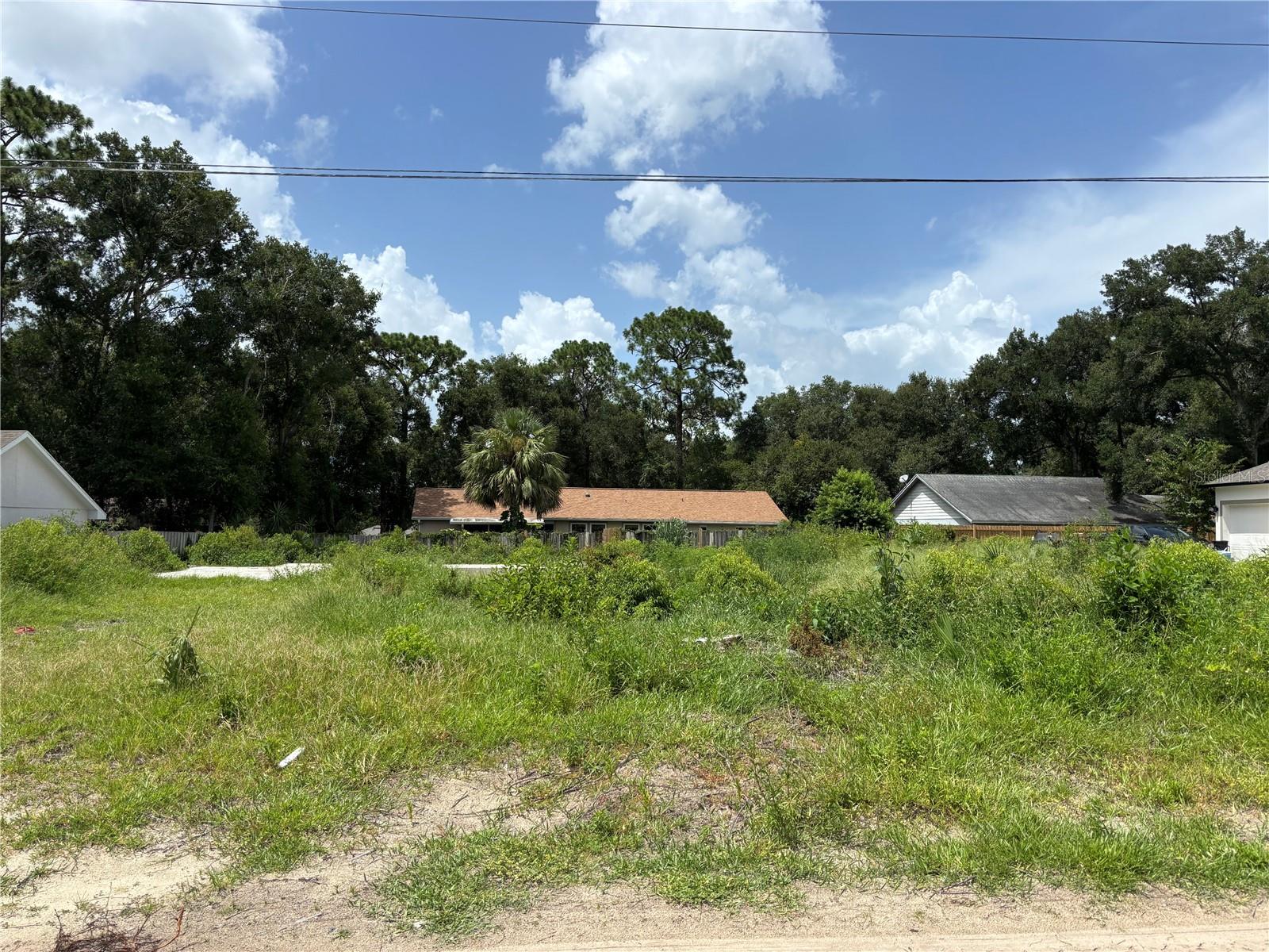 25815 Exmoor Dr Property Photo 1