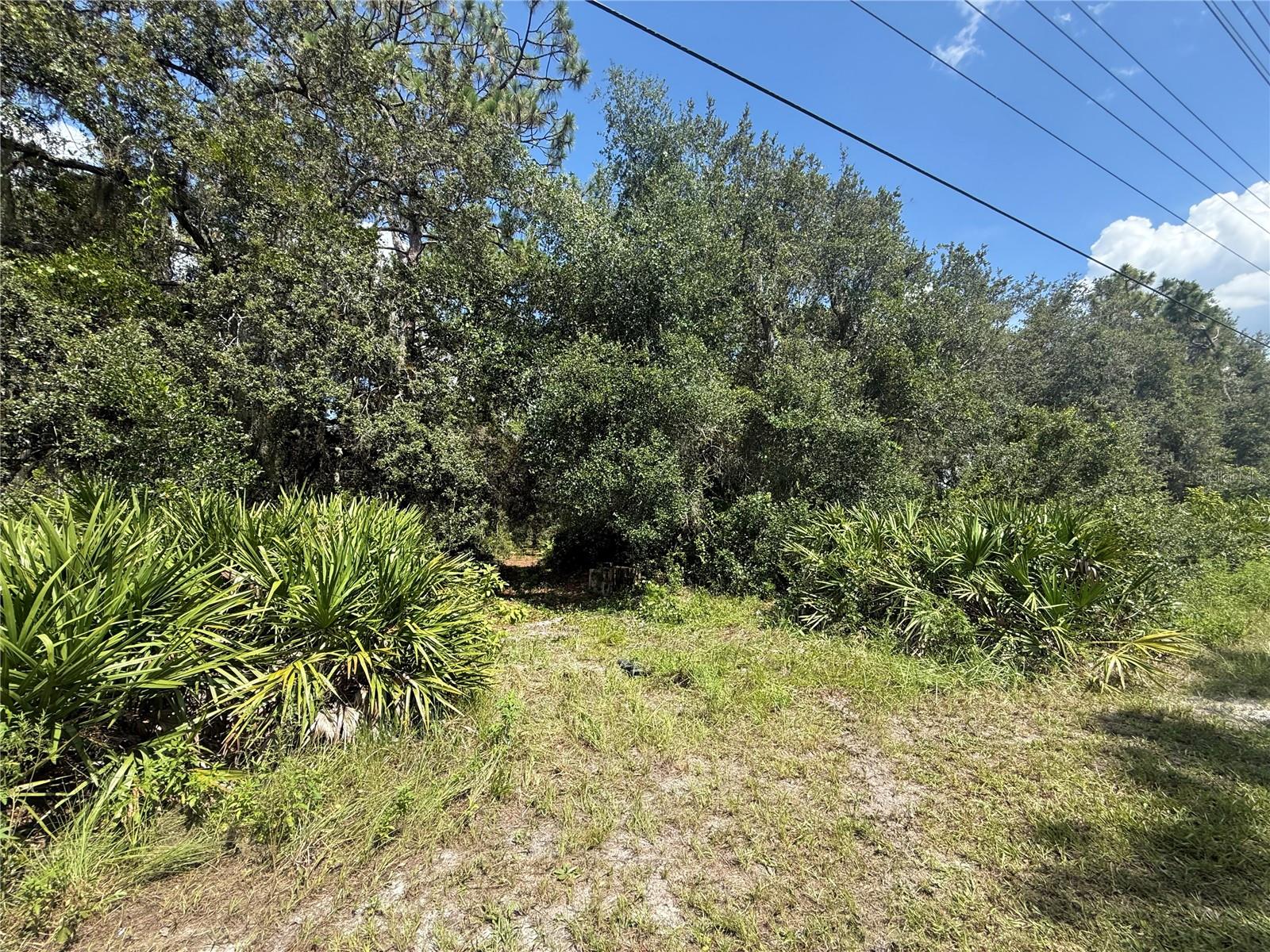 2521 Absher Rd Property Photo 18