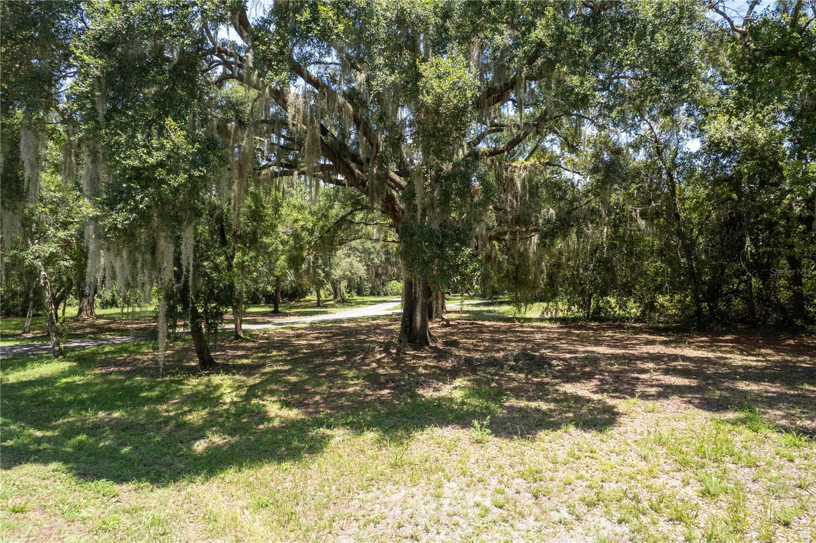 2951 Seminole Rd Property Photo 1
