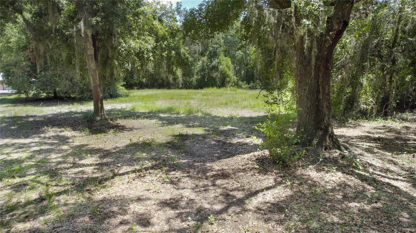 2951 Seminole Rd Property Photo 2