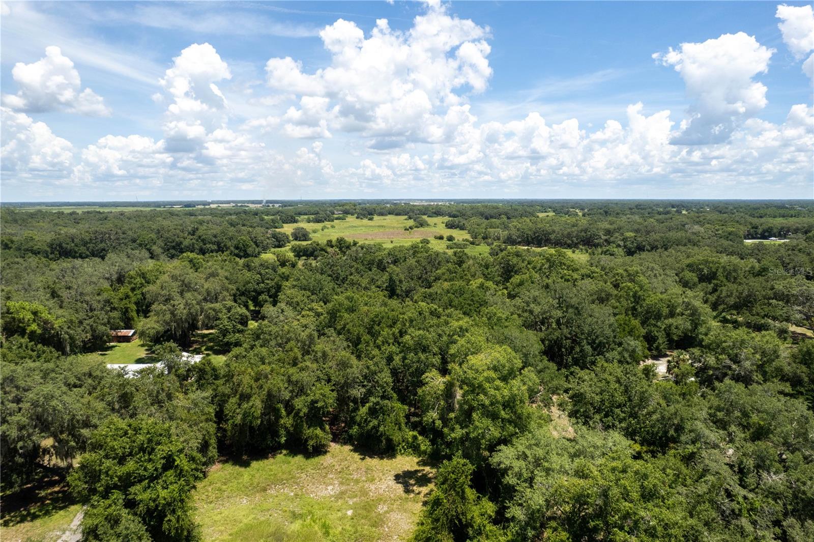 2951 Seminole Rd Property Photo 4