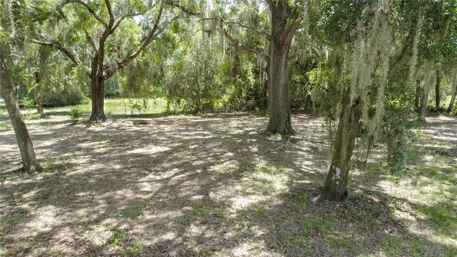 2951 Seminole Rd Property Photo 5