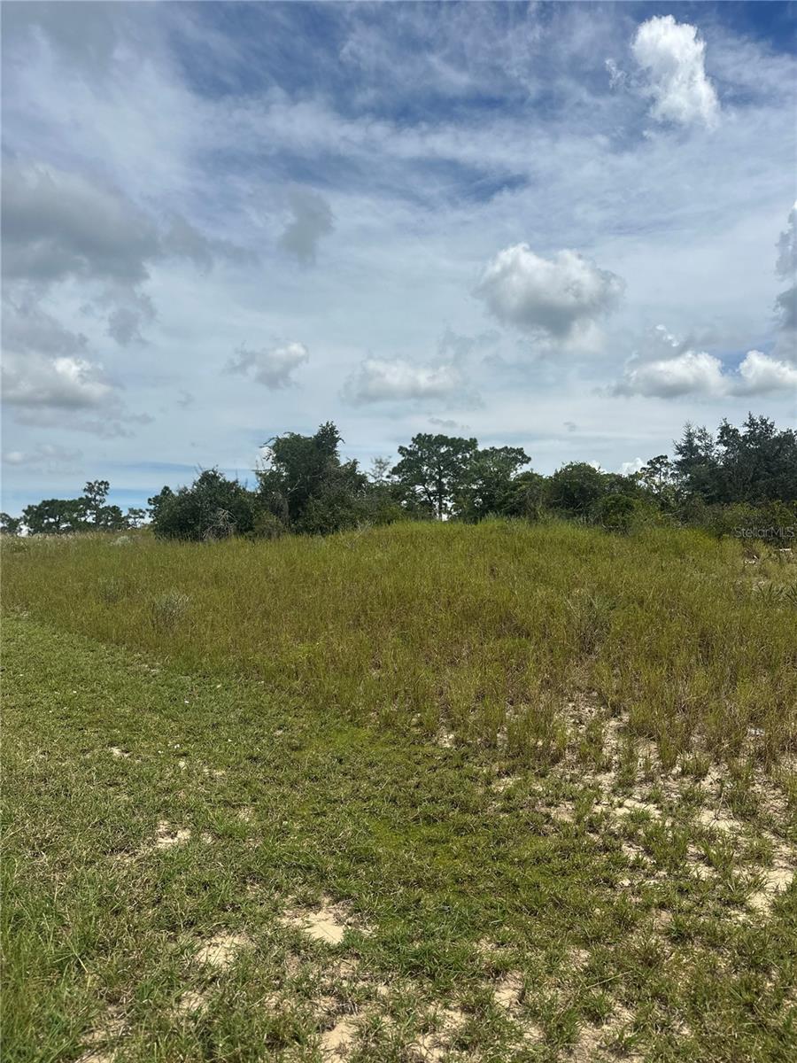 1348 HOMOSASSA CT Property Photo 1