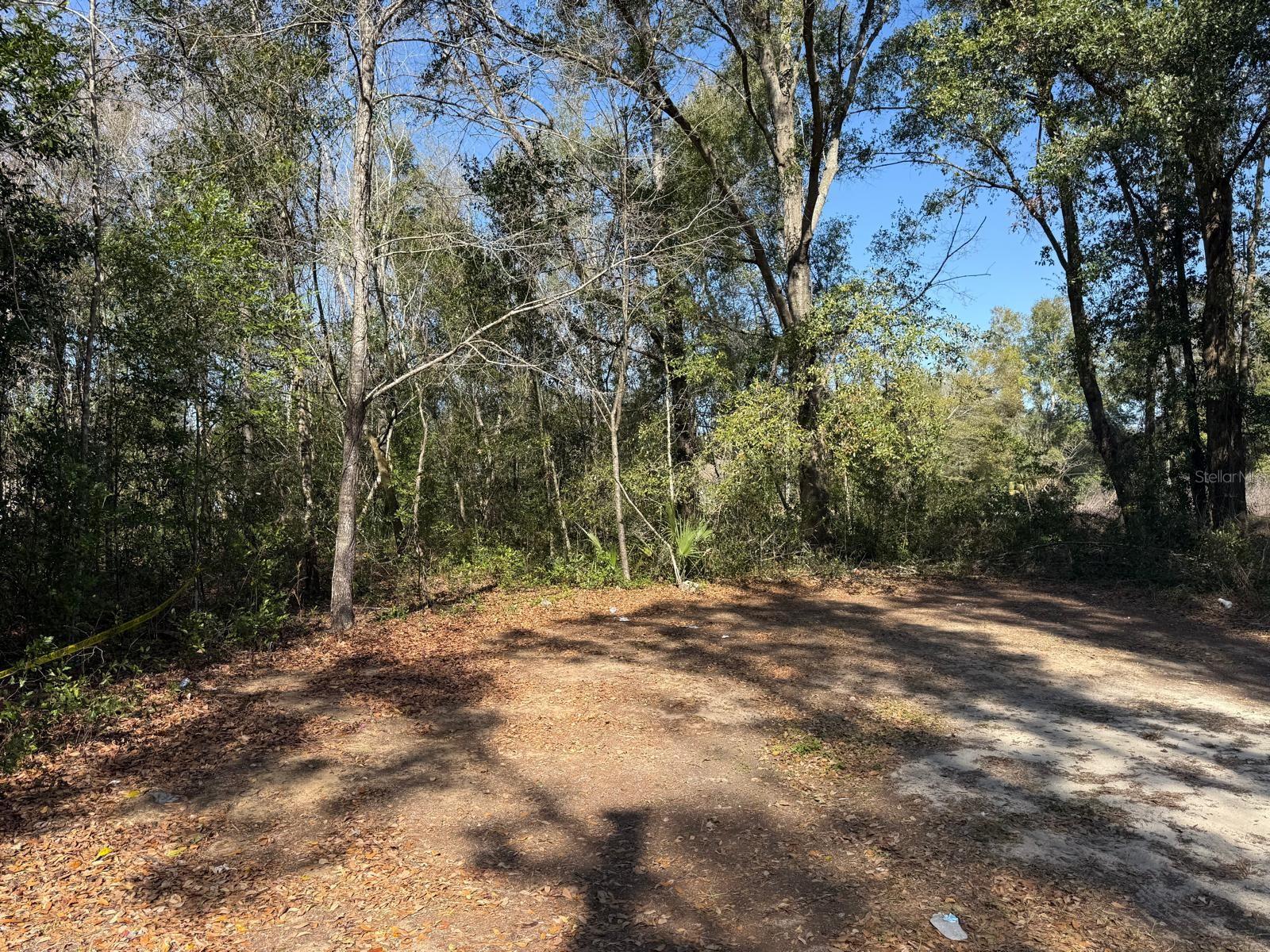 5325 Nw 7th Street Property Photo 9