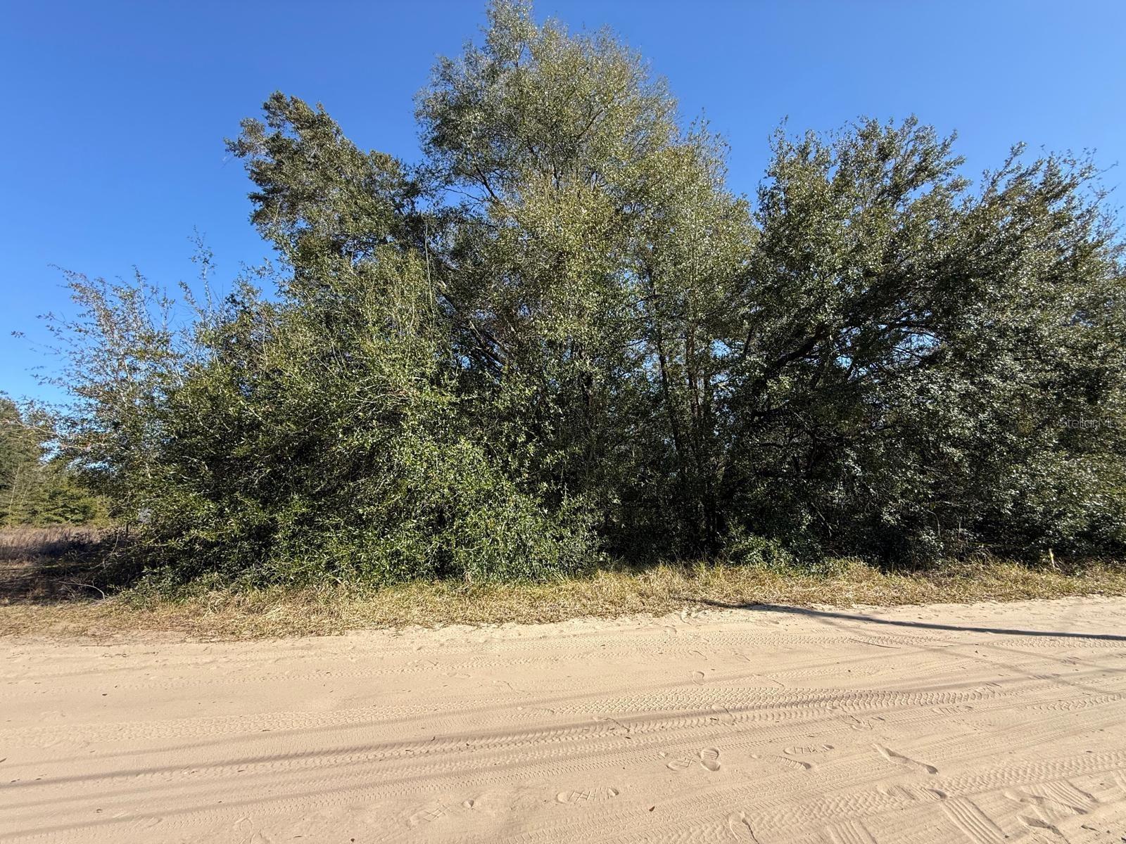 771 NW 57 TH AVENUE