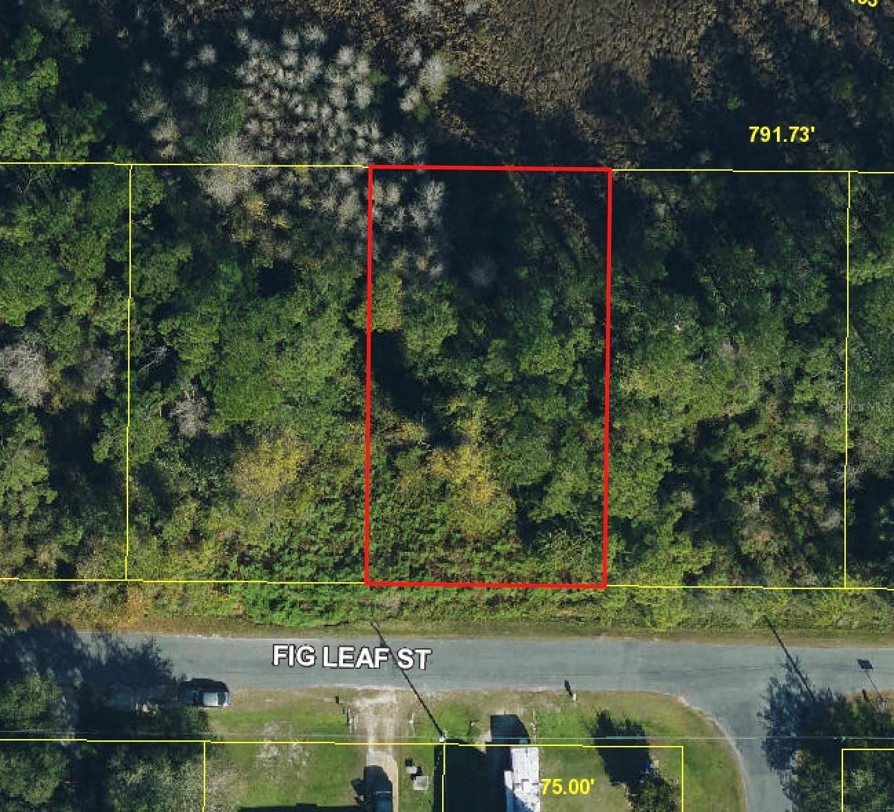 Fig Leaf St Property Photo 2