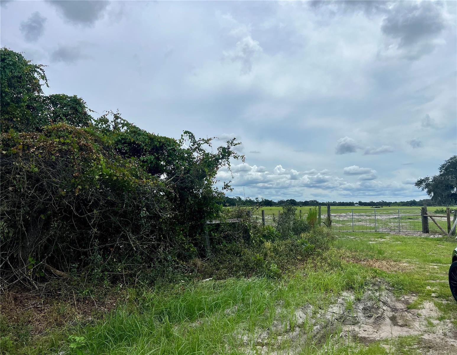 Alturas Babson Park Cut-off Property Photo 11