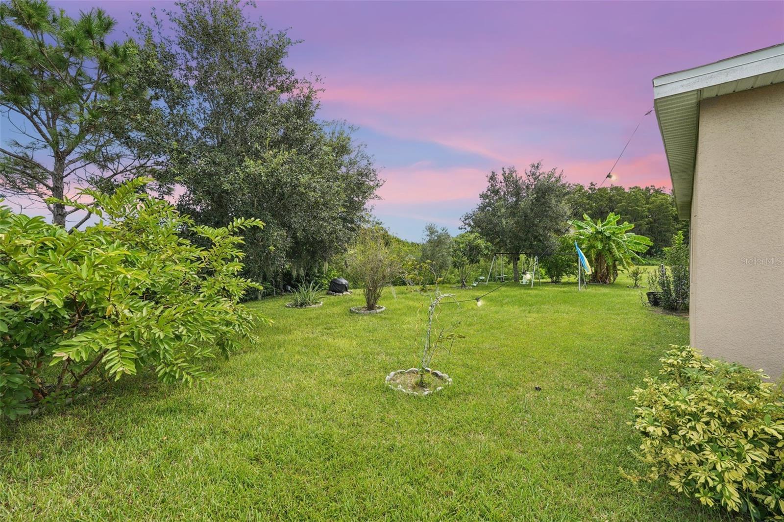 4569 Baler Trails Dr Property Photo 28