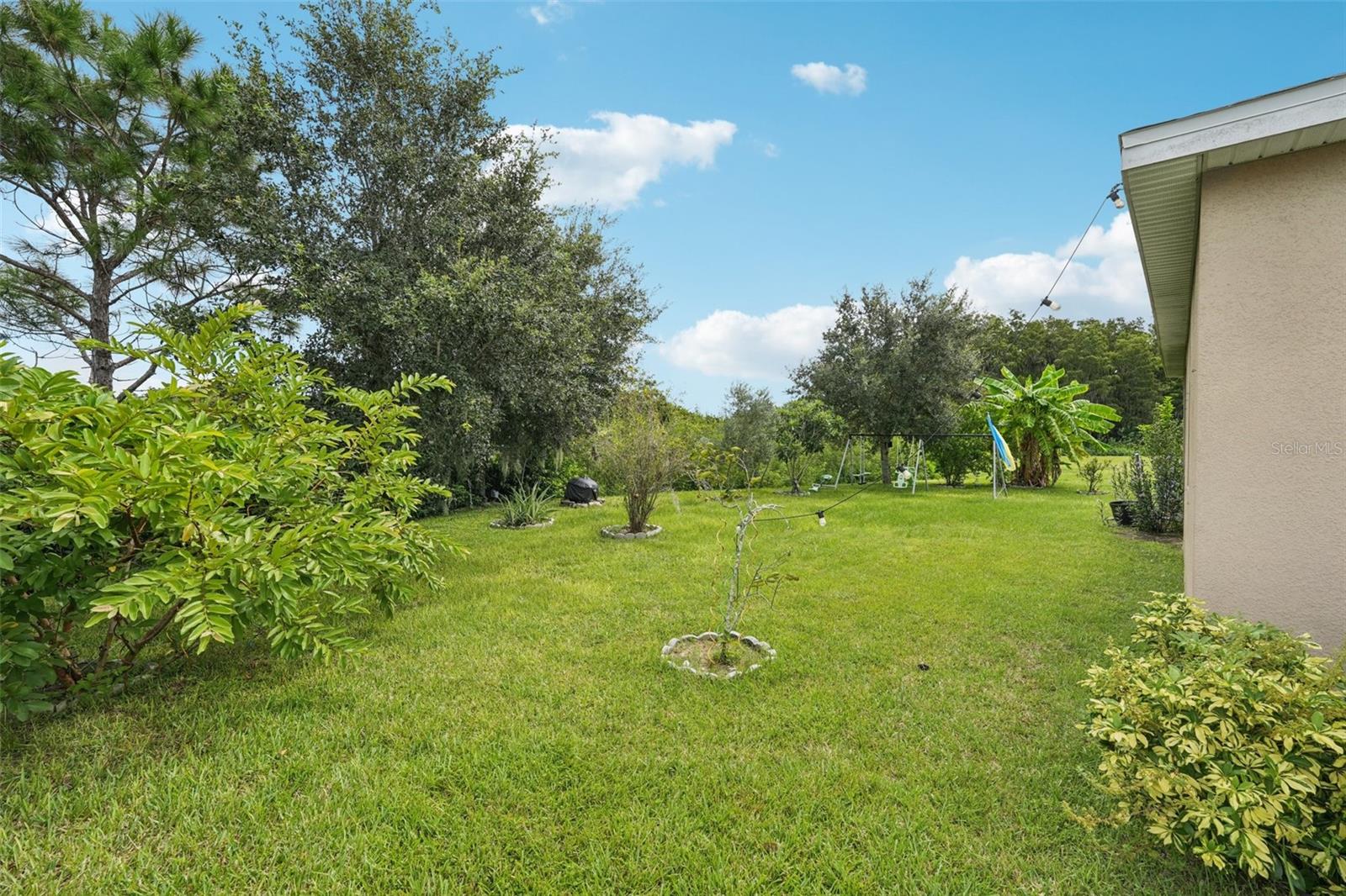 4569 Baler Trails Dr Property Photo 33