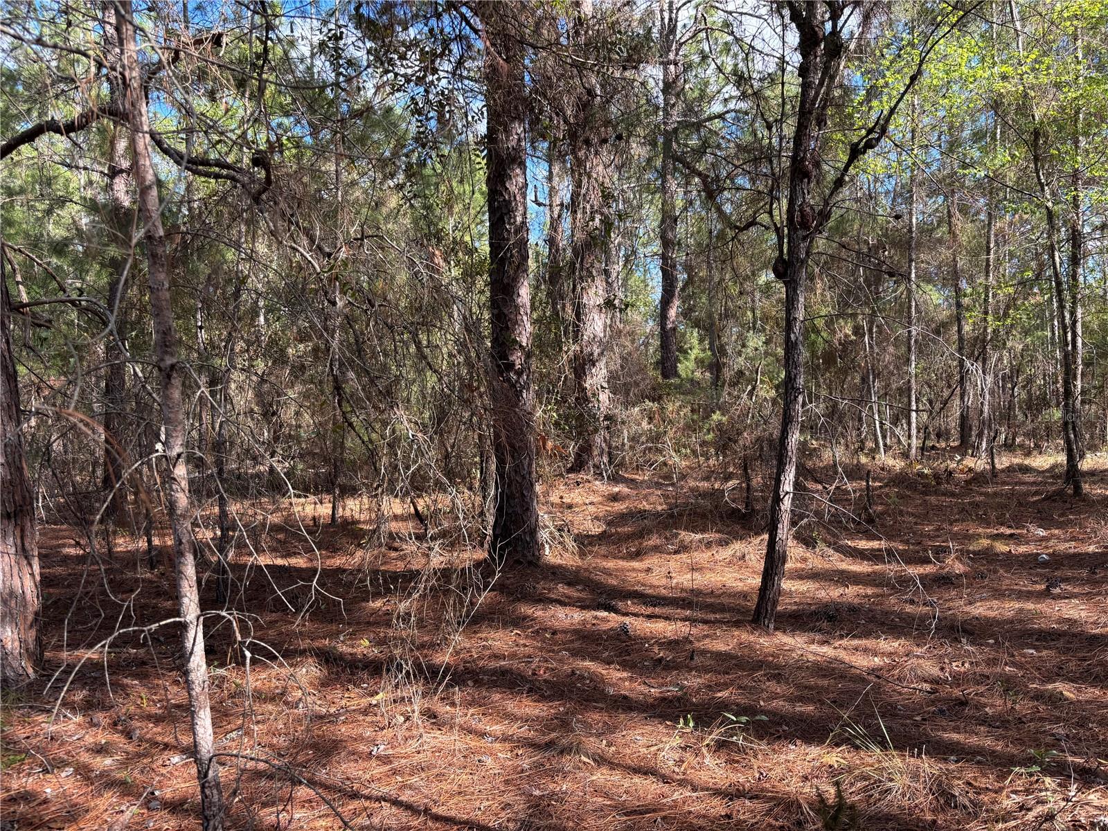 171 7th Way Property Photo 7
