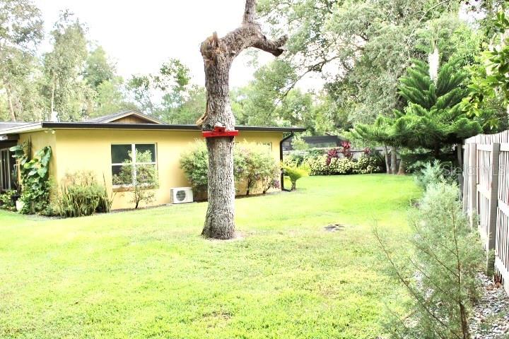 414 Timbercove Cir Property Photo 33