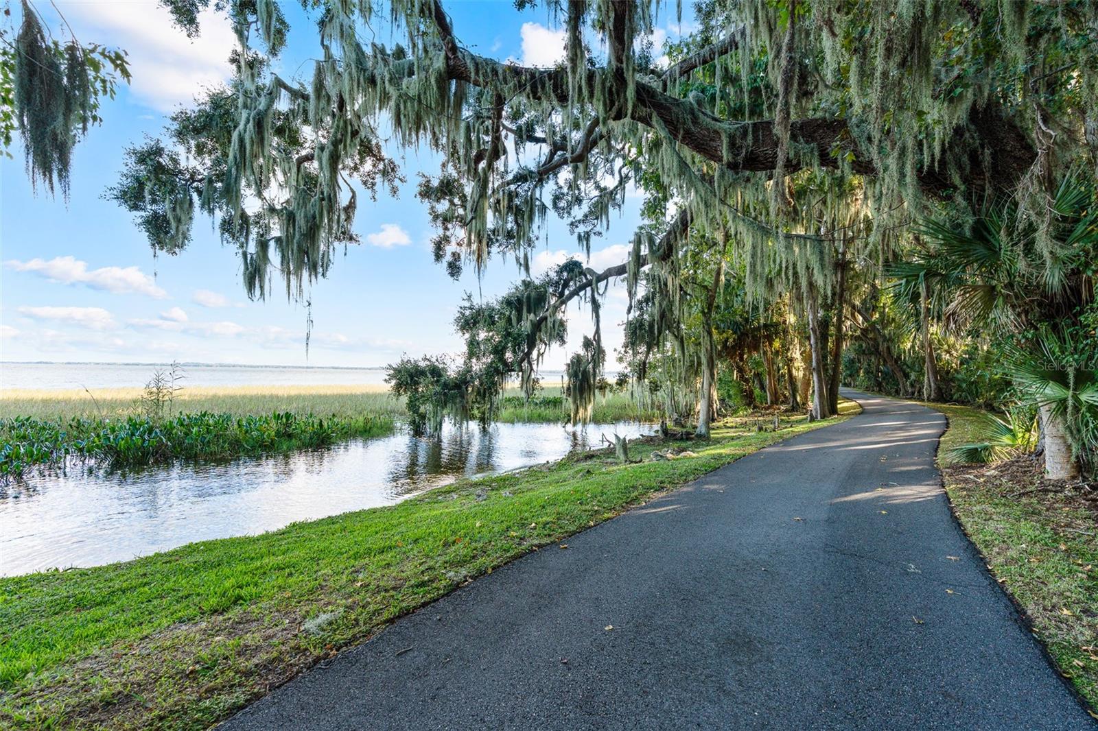 30215 Redtree Dr Property Photo 47