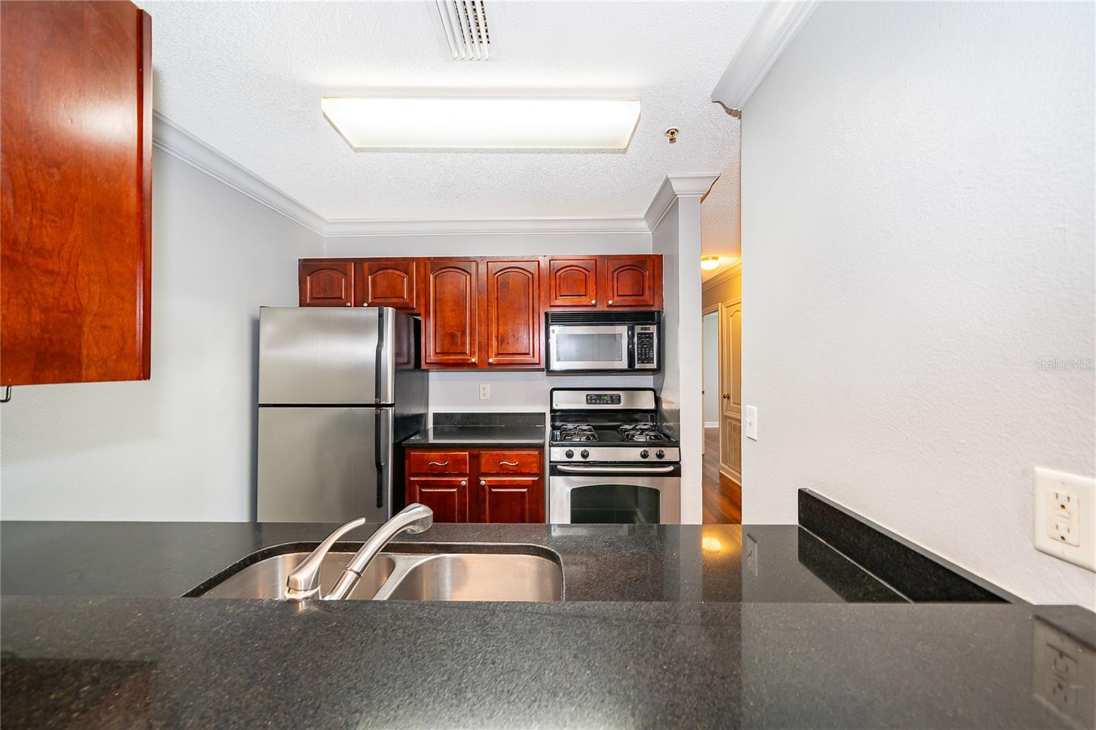 2007 Dixie Belle Dr #l Property Photo 10