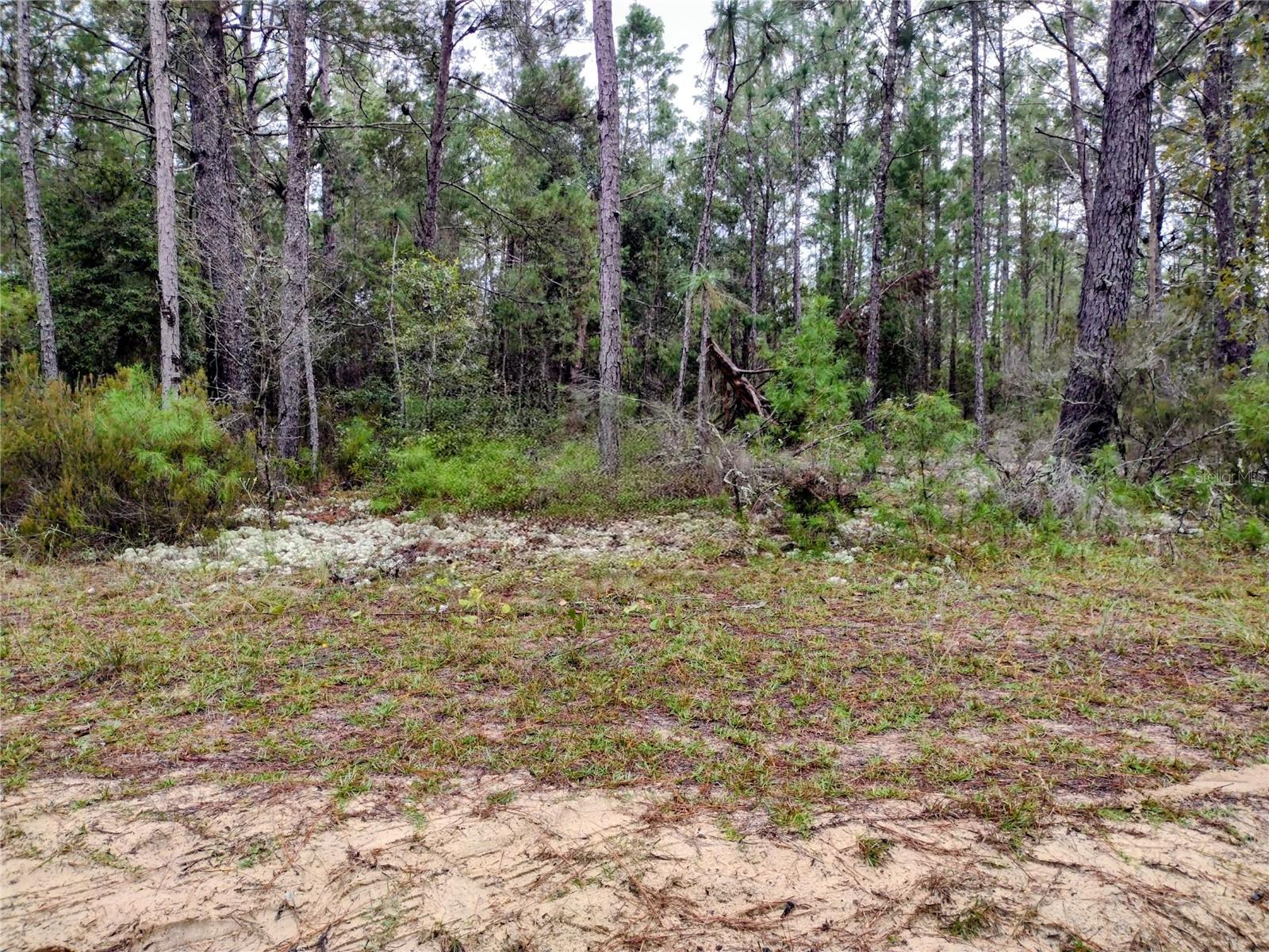 165 7th Way Property Photo 1