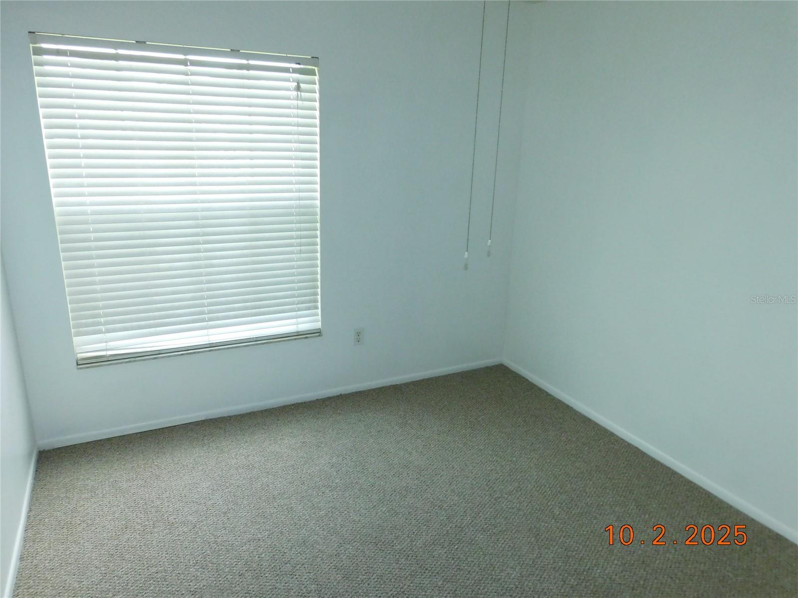 2542 Camphorwood Cir Property Photo 9