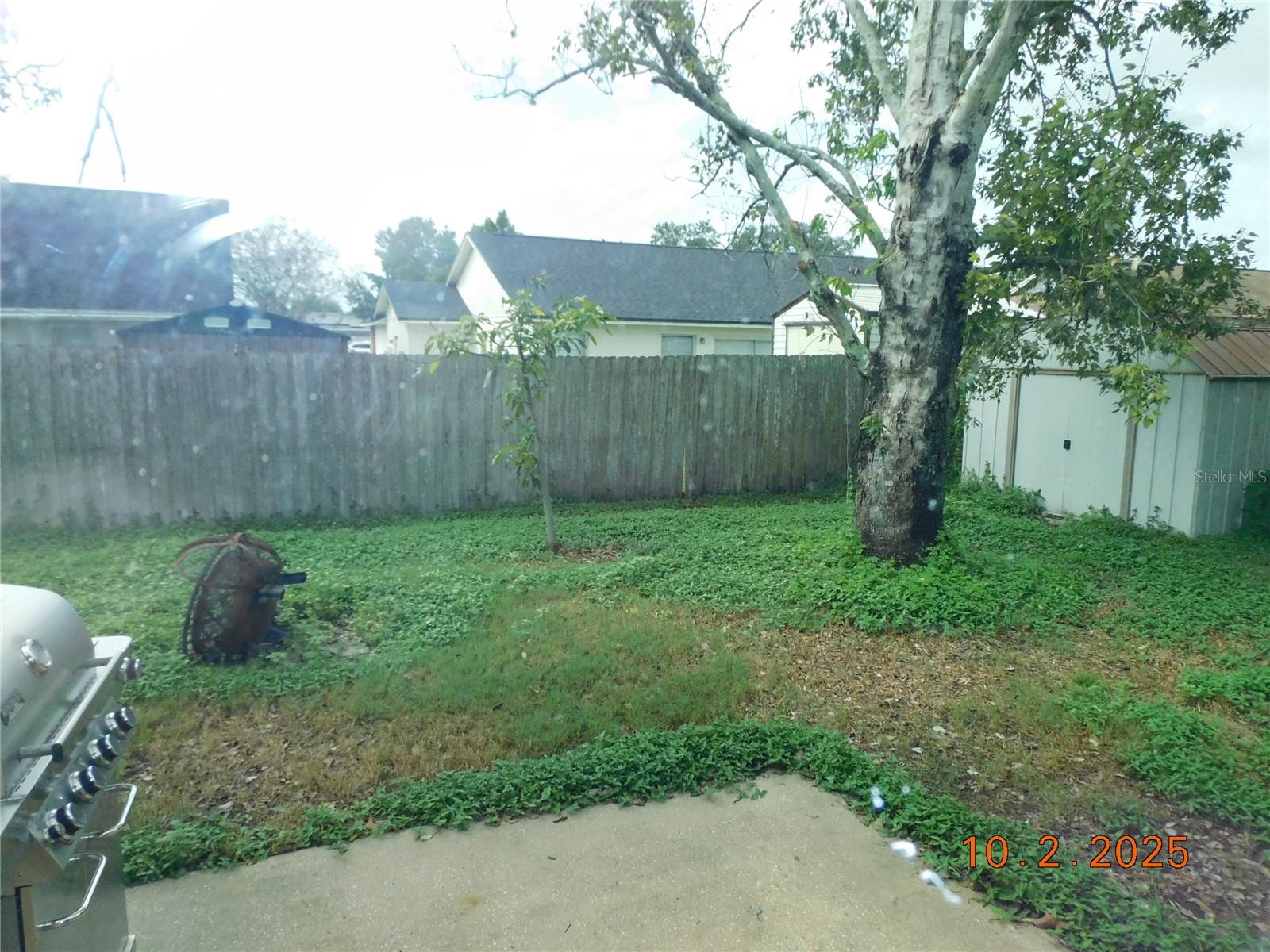 2542 Camphorwood Cir Property Photo 11