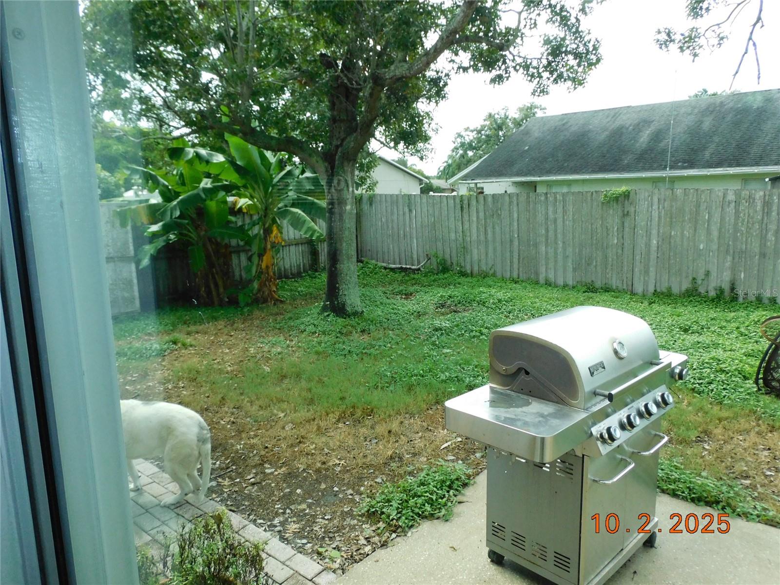 2542 Camphorwood Cir Property Photo 12