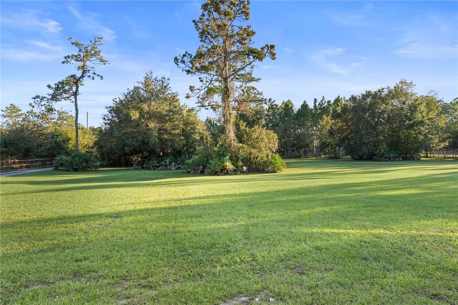 20107 Starry St Property Photo 24