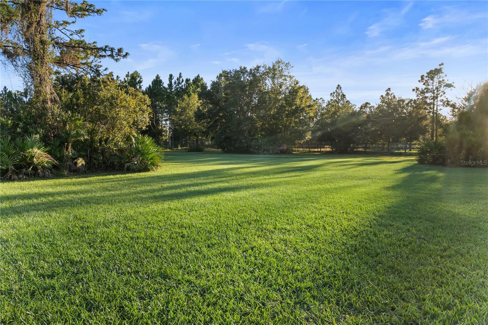 20107 Starry St Property Photo 25